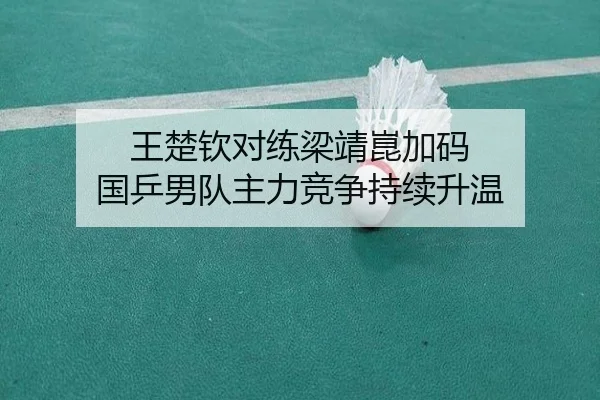王楚钦对练梁靖崑加码 国乒男队主力竞争持续升温